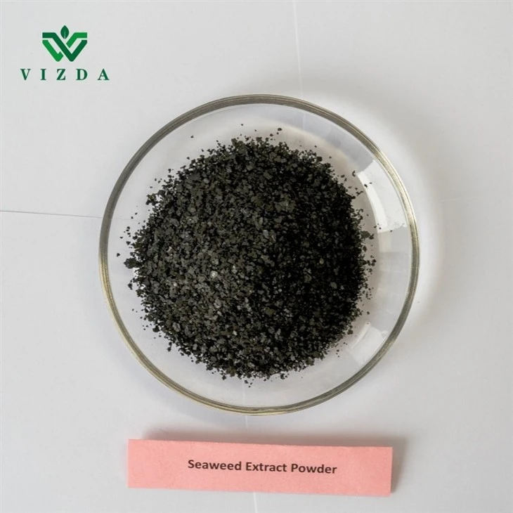 Nutrient-rich Seaweed Extract