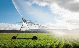 Hoe u de waterbehoefte voor uw gewas kunt berekenen met behulp van ET-tarieven