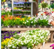 Als je deze fout maakt, wordt de plant van het jaar 2026 een rommeltje
