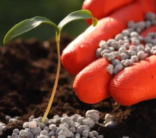 Een eenvoudige gids voor tuinmeststoffen: de basisprincipes van meststoffen